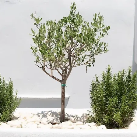 Apartment Swell S2 Maisonette With Private Jacuzzi In